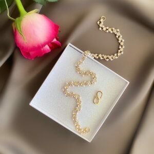 «LIDIA» Semi-Fine Trendy Luxury Choker Necklace - Image 4