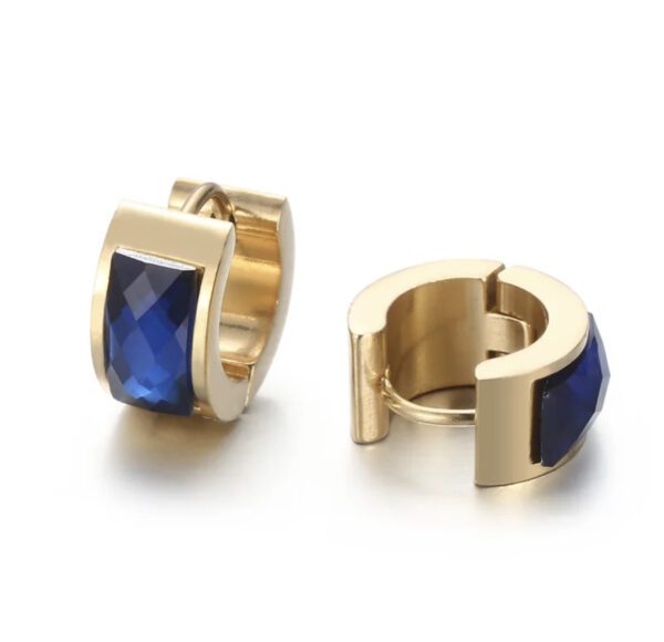 «NEW HOOP» New Trend Beautiful Earrings - Congo Lock - Gold-Blue