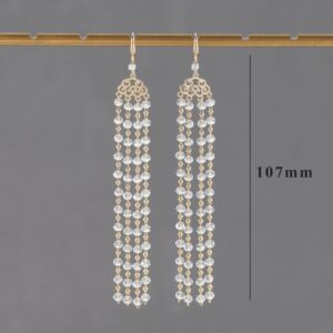 «FELONIA» Beautiful Crystal Drop Earrings - Image 9